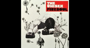 Firesoul