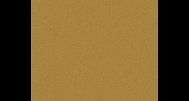 UNI BEHANG - Goud - AS Creation Il Decoro