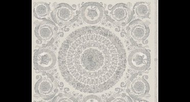 KLASSIEK ORNAMENTEN BEHANG - Grijs Zilver - AS Creation Versace 4