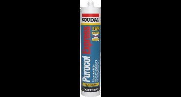 Soudal Purocol Express (D4)