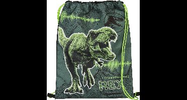 Jurassic World Dino Gymtas - Sporttas - Rugzak - Rugtas - Schooltas - Gymtas Jongen - Gymtas Meisje