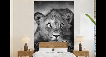 Behang - Fotobehang Wilde dieren - Leeuw - Natuur - Zwart - Wit - Breedte 145 cm x hoogte 220 cm
