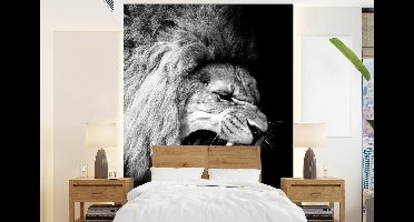 Behang - Fotobehang Leeuw - Portret - zwart - Wit - Dieren - Breedte 160 cm x hoogte 220 cm