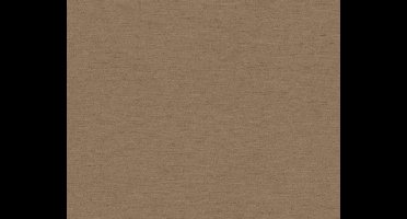 TEXTIELSTRUCTUUR BEHANG | Gespikkeld - bruin - A.S. Création Antigua
