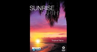 Tropical Palms