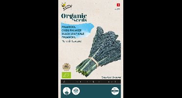 Buzzy Organic Palmkool Nero di Toscana (BIO)
