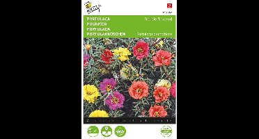 Portulaca grandiflora (dubbelbloemig gemengd)