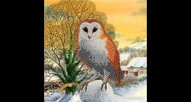 Crystal Card Kit | Diamond painting Winter Owl