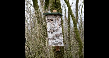 CJ Wildlife Nestkast voor Specht - Malmö - Nestkastje van Berkenstam - Houten Vogelhuisje - FSC-gecertificeerd