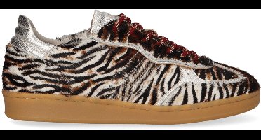 Piedi Nudi - Imola - Dames - Sneakers - Bruin