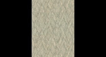 VLECHTLOOK BEHANG | 3D - Beige Groen - A.S. Crèation Cosiness