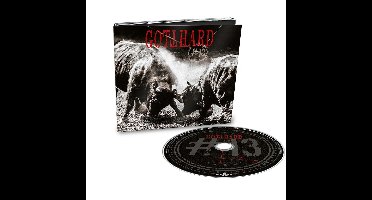 #13 (Limited Edition) (Digi)