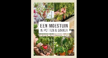 Een moestuin in potten en bakken