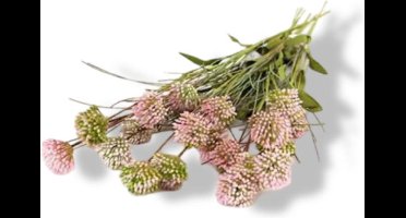Kunst Tak Allium Roze Buitengewoon de Boet
