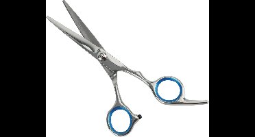 Scoby - Kappersschaar - Ergonomische Schaar - Professional Hair Scissors - 17 CM - Blauw/Zilver