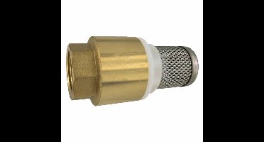 Voetventiel 1 1/2 inch met terugslagklep en zuigkorf
