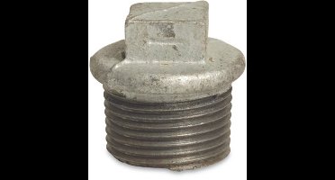 Plug 290 Met Rand 1.1/4Bu Verz