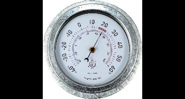 NeXtime Lelie – Thermometer – 22 cm – Metaal – Gegalvaniseerd Zilver – Weerbestendig