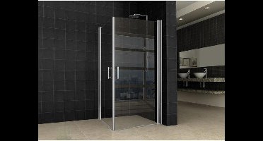 Wiesbaden Uni douchecabine met 2 draaideuren 100x100x200cm helder glas 8mm NANO Chroom