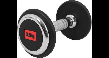 Gorilla Sports Professionele Dumbbell 2,5 kg - Rubber - Gietijzer