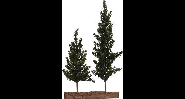 House Of Seasons Kunstkerstbomen Met Glitter 45 Cm Groen 2 Stuks