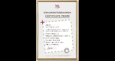 Walther Galeria - Kunststof lijst - Fotoformaat 21 x 29,7 cm (DIN A4) - Metallic Goud