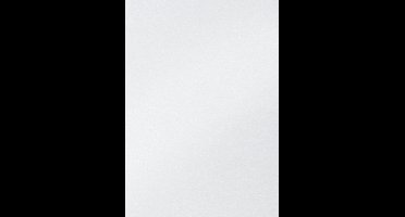 Fotokarton Folia 2-zijdig 50x70cm 250gr parelmoer nr00 wit | 10 stuks