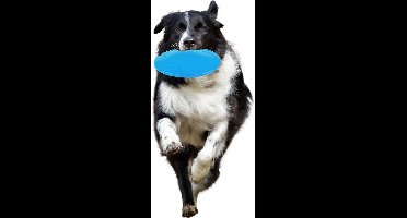 Flamingo Hondenspeelgoed Rubber Morrison Frisbee - Blauw - 18 x 18 x 2.5 cm