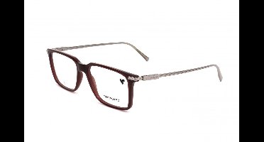 Ferragamo SF2977 Opaline wine 53/16/145 MAN Brilmonturen