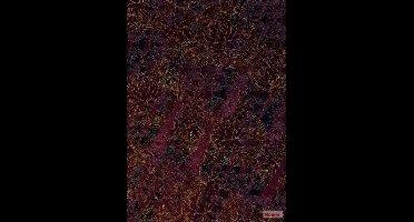 Komar Heritage | paars/goud bloemenmotief | fotobehang op vlies 200x280cm