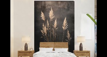 Behang - Fotobehang Siergras - Pluimen - Verlichting - Zwart - Breedte 145 cm x hoogte 220 cm
