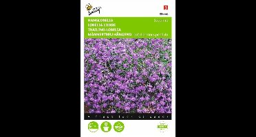 Tuinlobelia Saphir - Lobelia pendula