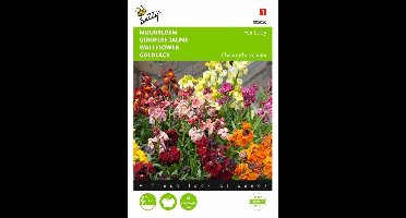 Cheiranthus cheiri (muurbloemen gemengd)
