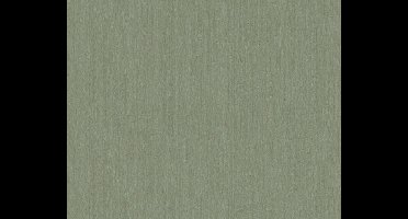 UNI BEHANG - Groen Metallic - AS Creation Hermitage 10