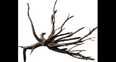 SuperFish Black Spiderwood M