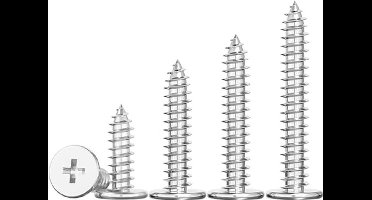 KARZO - 20 stuks dunne zelftappende schroeven, kruiskop platte kop, 304 roestvrij staal, M2 x 6 mm, houtschroeven voor reparaties