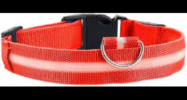 Scoby - LED-Halsband - Honden Halsband - Dierenband - Veiligheid - S - 35-43 cm - Rood