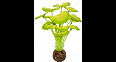 Superfish easy plants voorgrond nr. 5 - van zijde 13 cm - 1 ST