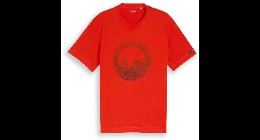 Tom Tailor - T-shirt met print - Maat L - orange red