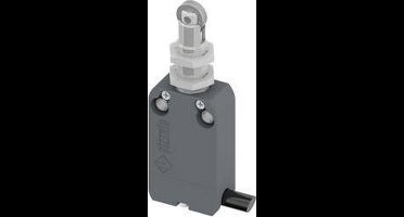 Pizzato Elettrica NF B110FB-DN2 NF B110FB-DN2 Eindschakelaar 250 V/AC 4 A Rolplunjer Moment IP67 1 stuk(s)