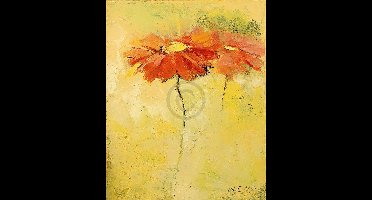Kunstdruk Elena Filatov - Feldblumen I 40x50cm