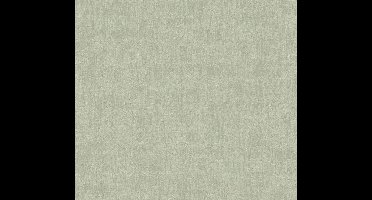 USED LOOK BEHANG | Basic - Licht Groen - A.S. Création Jade 2