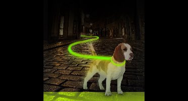 Nylon Licht Halsband Veiligheidslicht - Dierenlampje - Groen - 45 cm