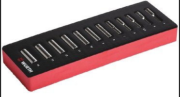 Wurth - Systeemassortiment 2.4.1, dopsleutel 1/4 inch lang 12 stuks - Systeemassortiment 2.4.1, dopsleutel 1/4 inch lang 12 stuks x 1 st