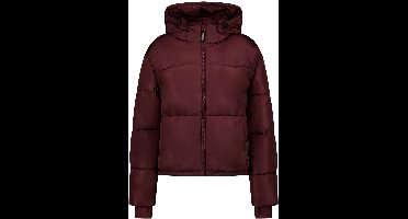 Cars Jeans Jas Mylo -