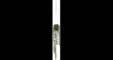 Mica Decorations Senecio Kunst Hangplant - H56 x Ø9 cm - Groen