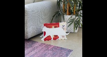 Balvi Feline Poes Krantenbak - Wit