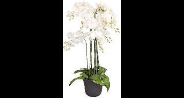 Orchidee Kunstplant 9-tak 110 cm - Wit