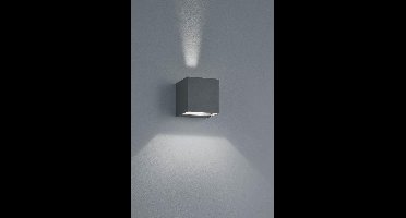 TRIO ADAJA - Wandlamp - Antraciet - incl. 2x SMD 3 W - Afstandsbediening - Geintegreerde dimmer - Traploos instelbare lichtkleur - RGBW-kleurenwisselaar - Geheugenfunctie - WiZ - In hoogte verstelbaar - Buitenverlichting - IP54