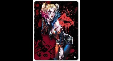 Batman Harley Quinn - Kiss Unisex Dekens - meerkleurig - Standard
